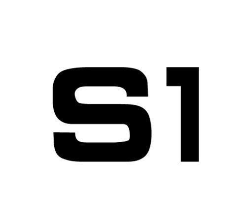 S 1