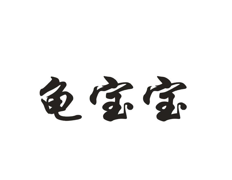 龟宝宝