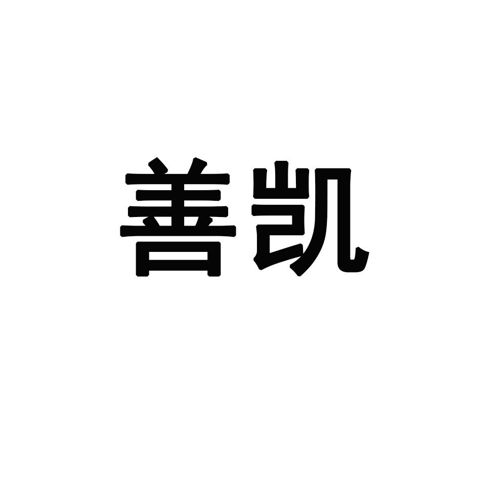 善凯