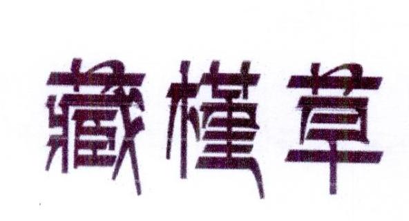藏槿草