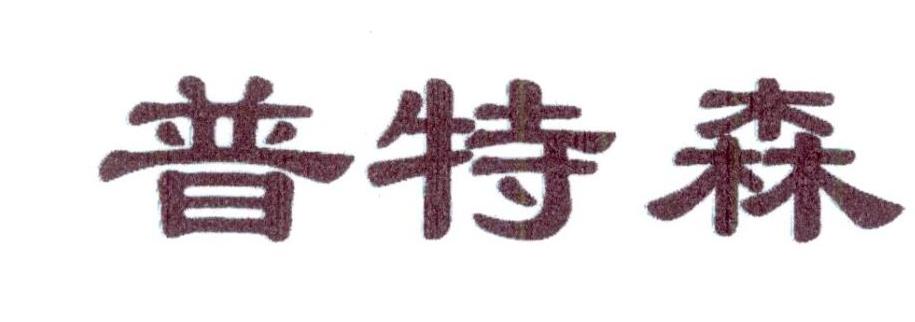 普特森