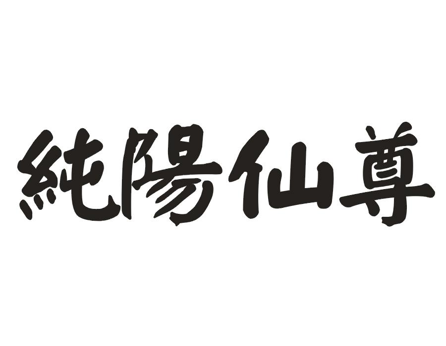 纯阳仙尊