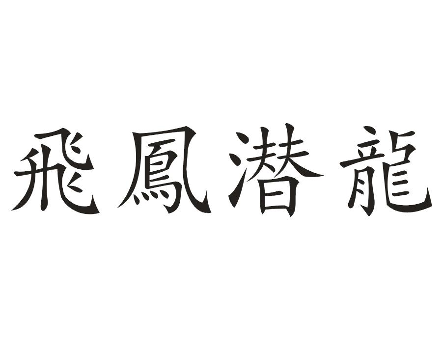 飞凤潜龙