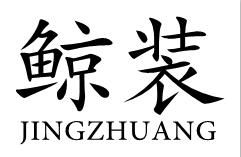 鲸装
