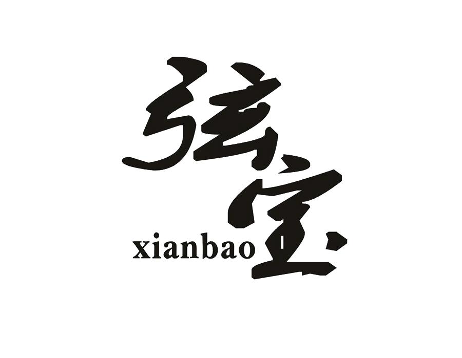 弦宝