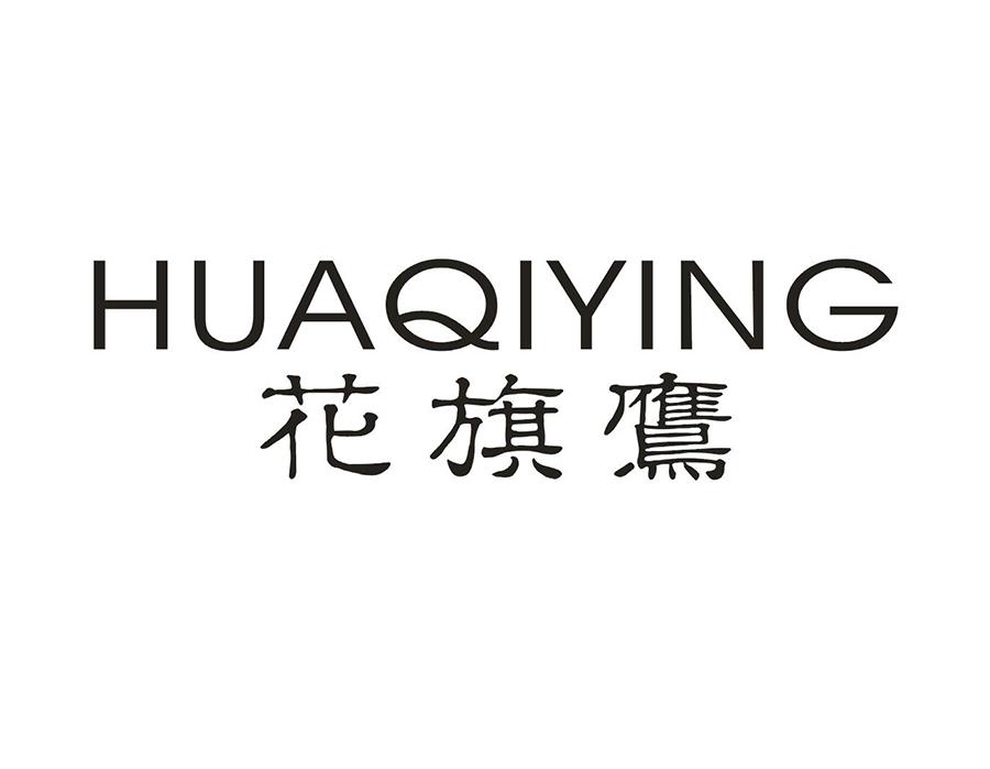 花旗鹰