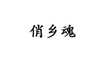 俏乡魂