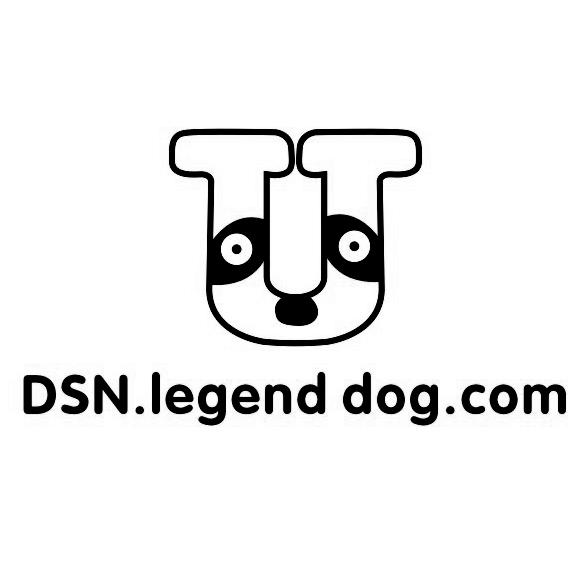 DSN.LEGENDDOG.COM