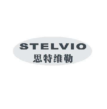 STELVIO 思特维勒