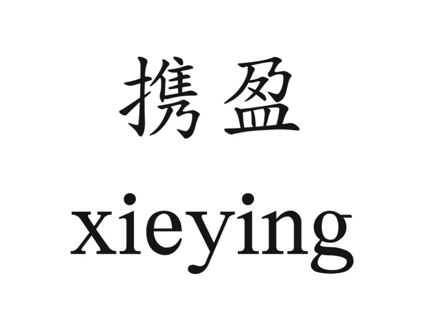 携盈
