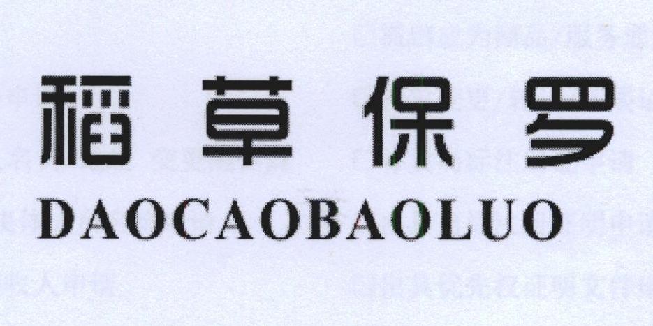 稻草保罗