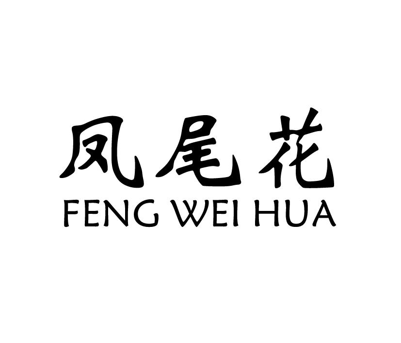 凤尾花;FENGWEIHUA