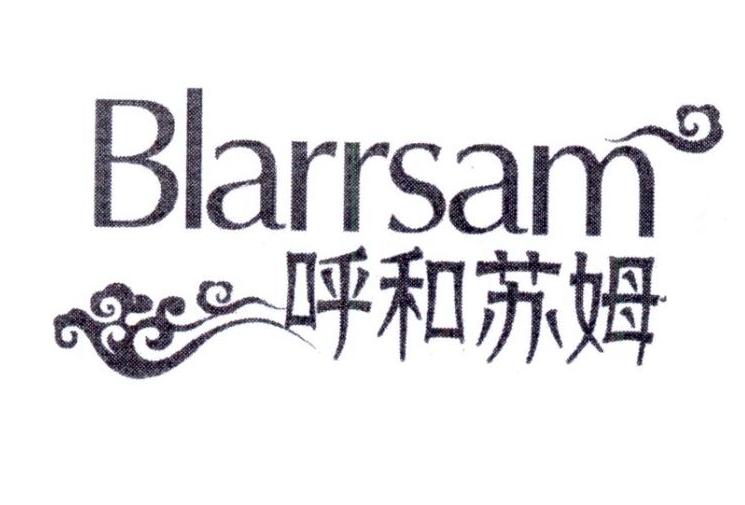 呼和苏姆
BlarrSam