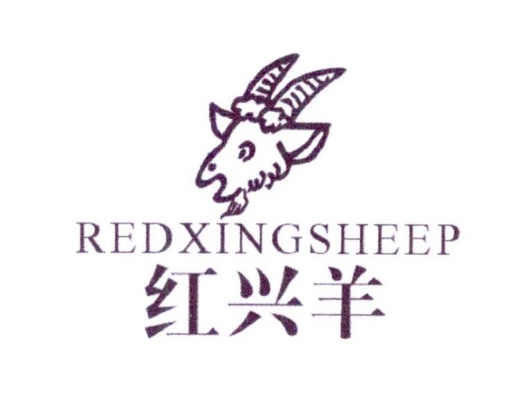红兴羊 REDXINGSHEEP