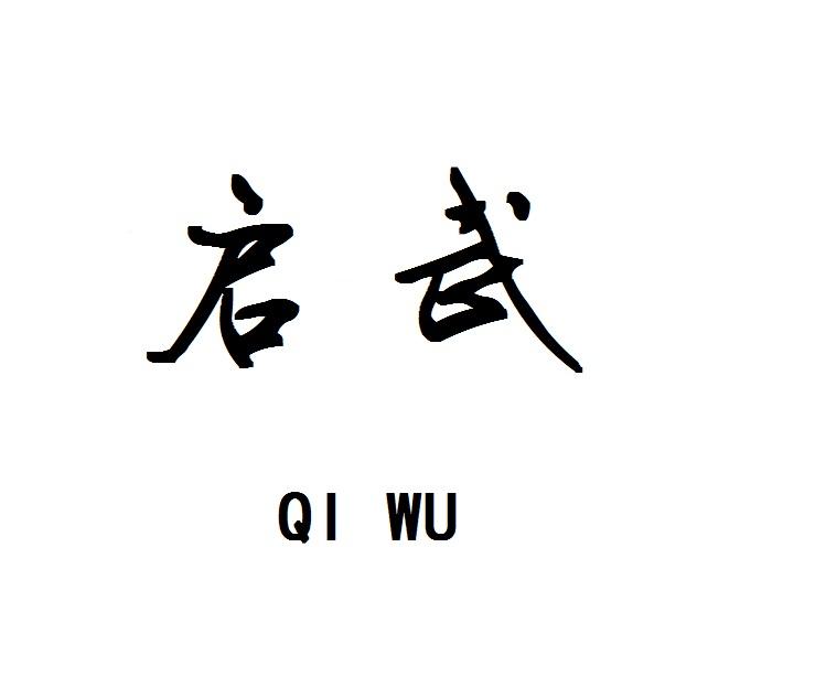启武