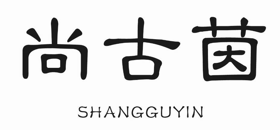 尚古茵