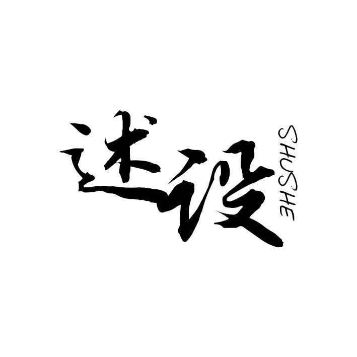述设