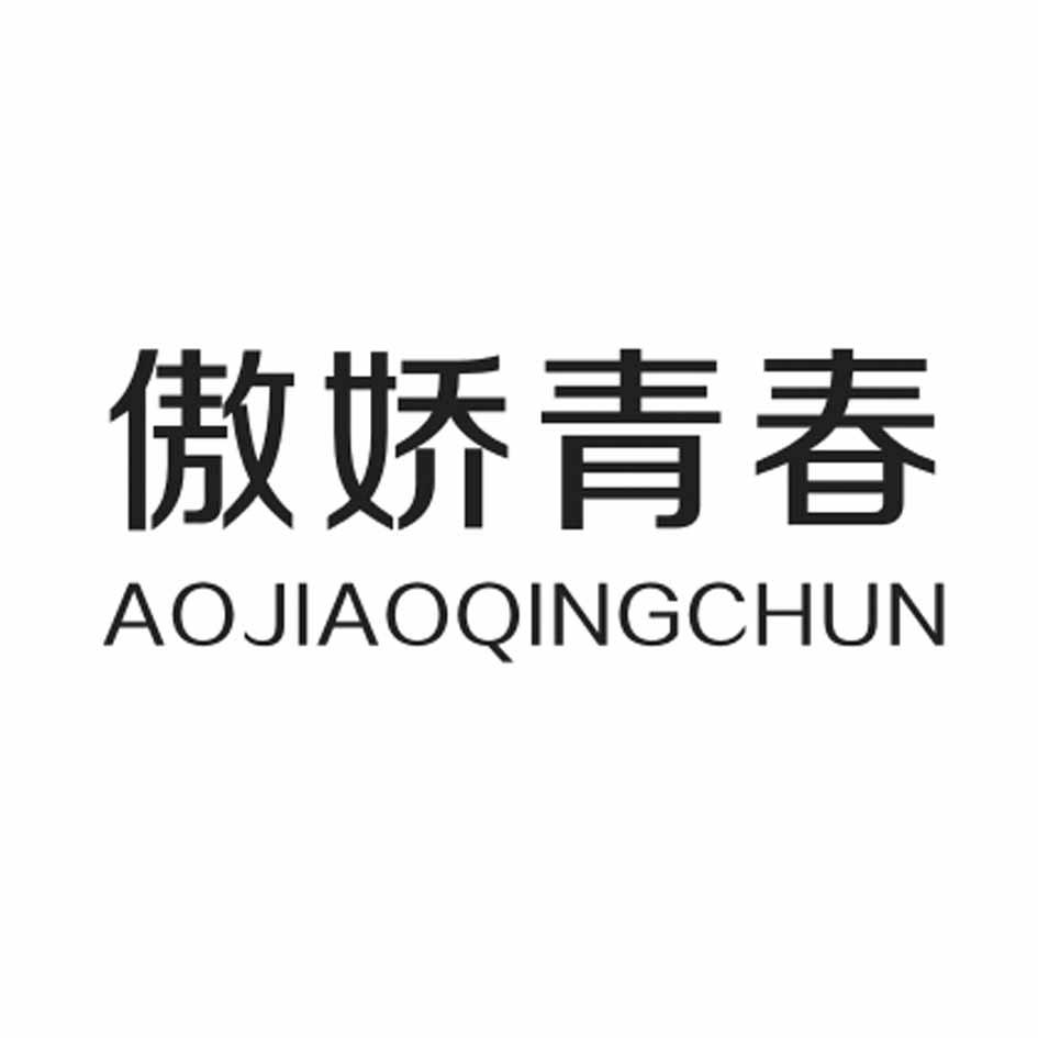 傲娇青春