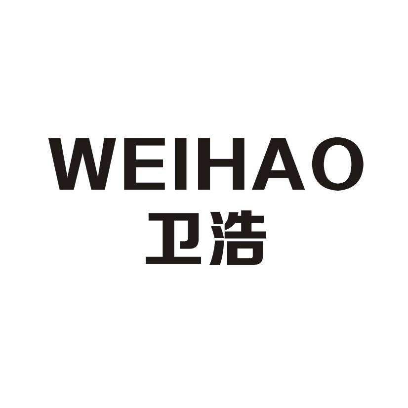 卫浩