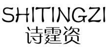 诗霆资