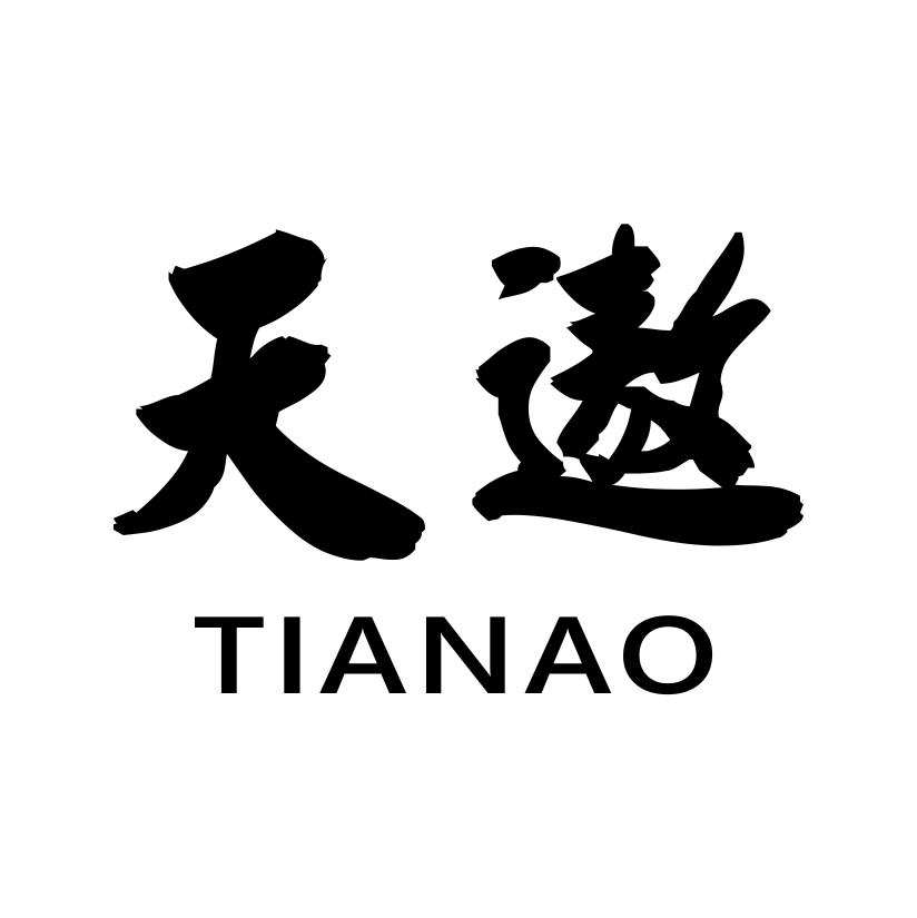天遨
