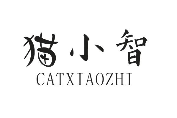 猫小智
