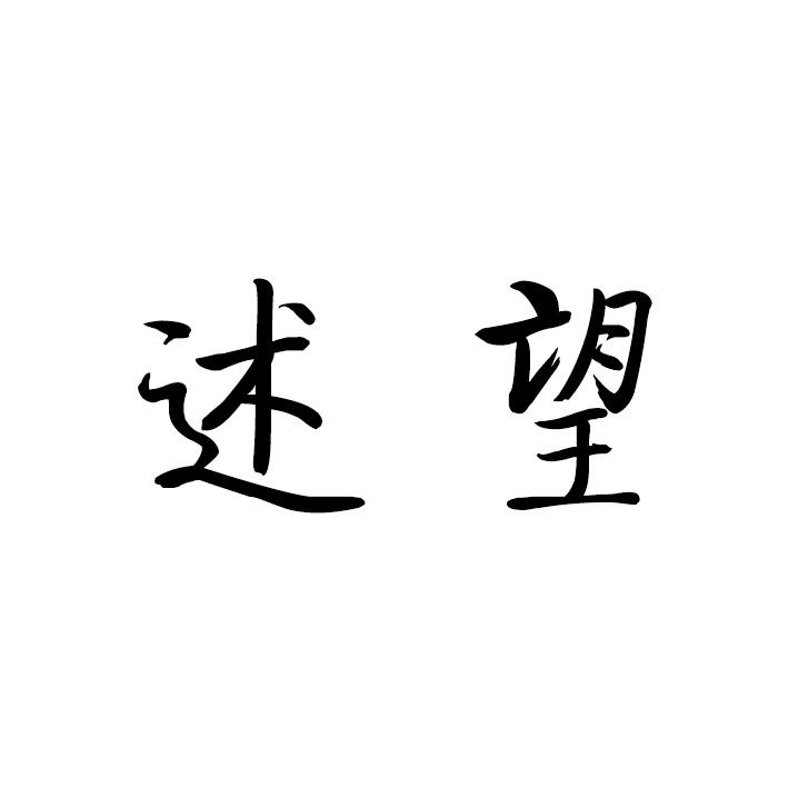 述望