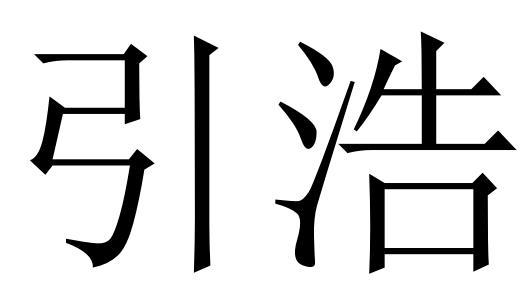 引浩