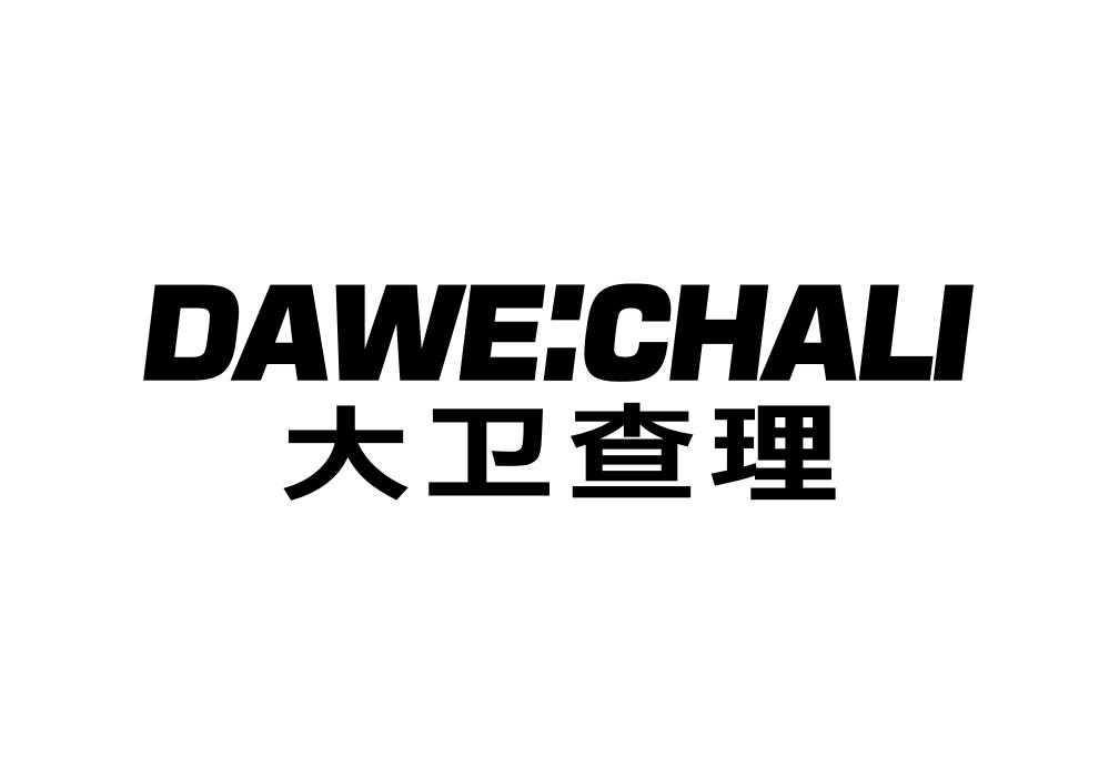 大卫查理