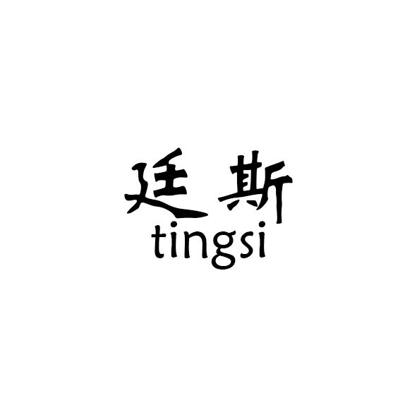 廷斯