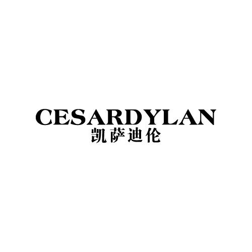 凯萨迪伦 CESARDYLAN