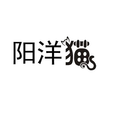 阳洋猫