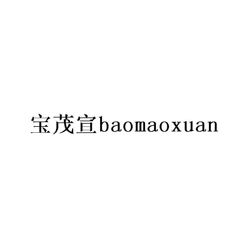 宝茂宣BAOMAOXUAN