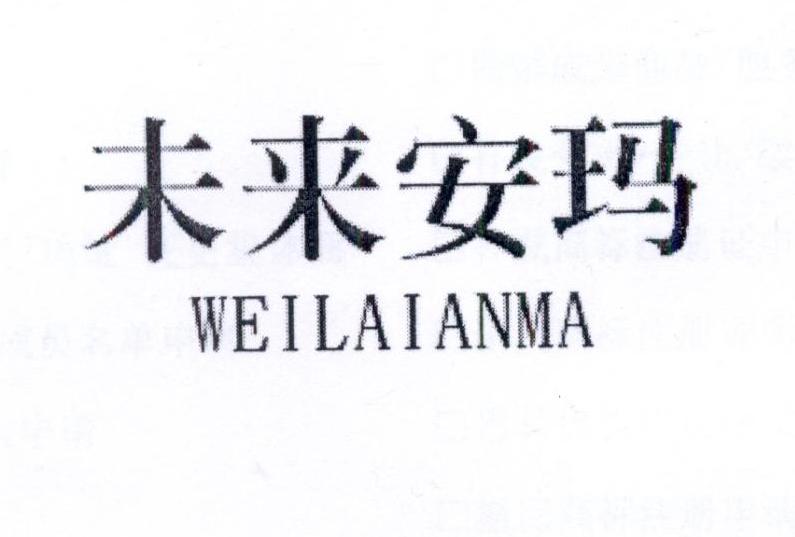 未来安玛 