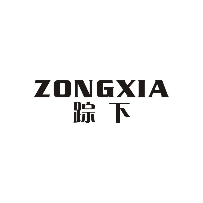 踪下
