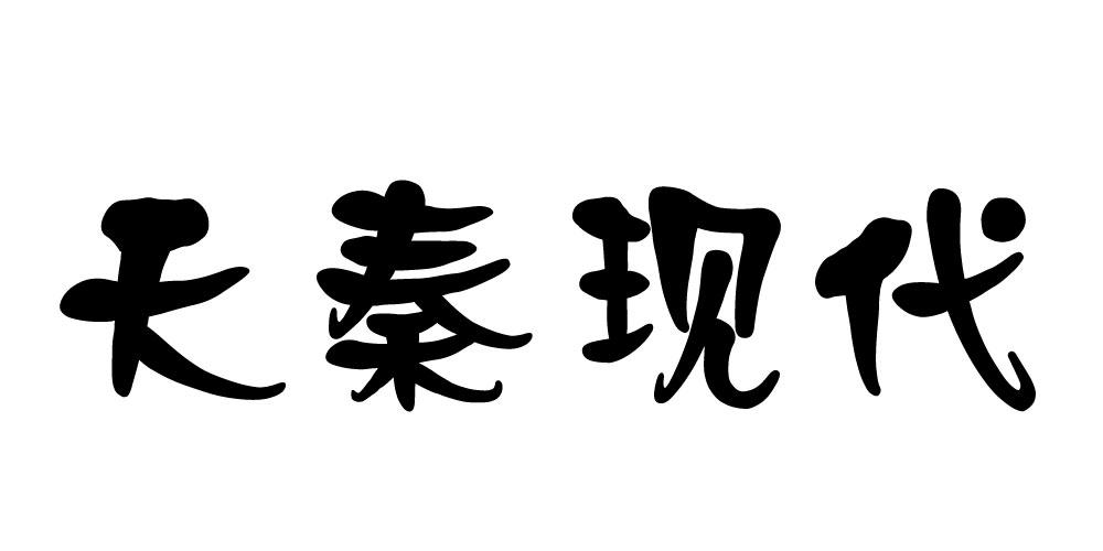 天秦现代