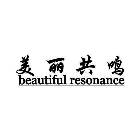 美丽共鸣 BEAUTIFUL RESONANCE