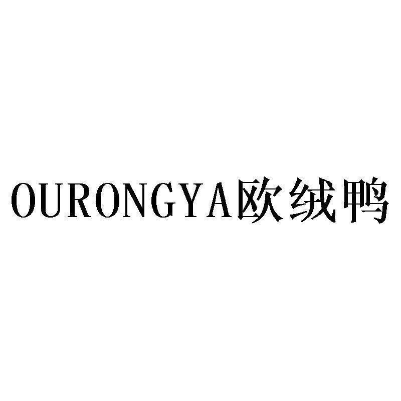 欧绒鸭
