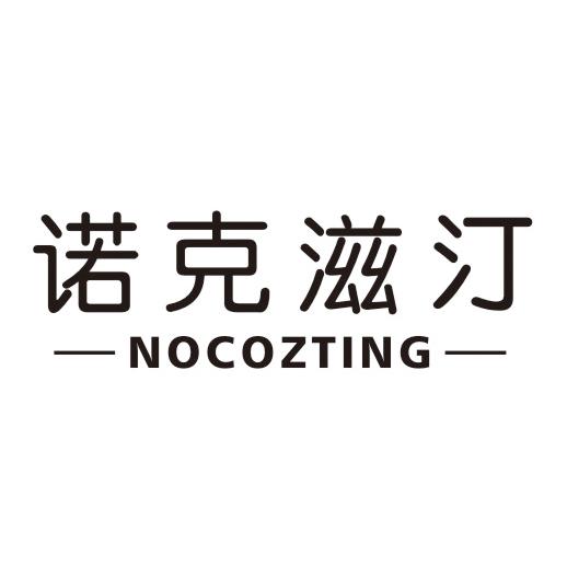 诺克滋汀NOCOZTING