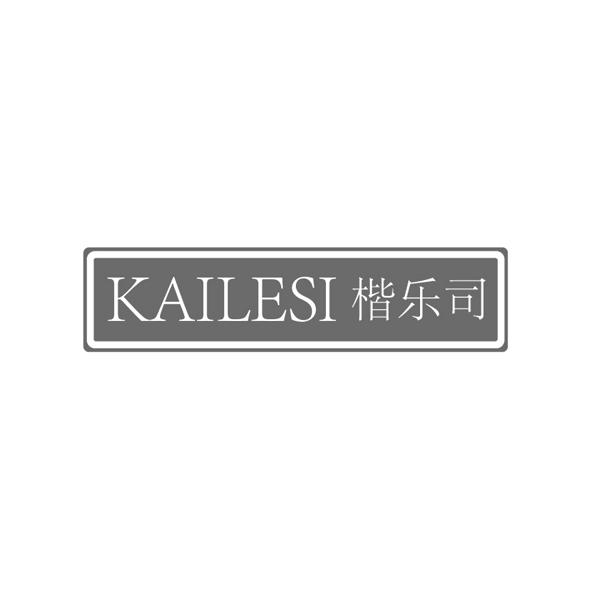 楷乐司KAILESI