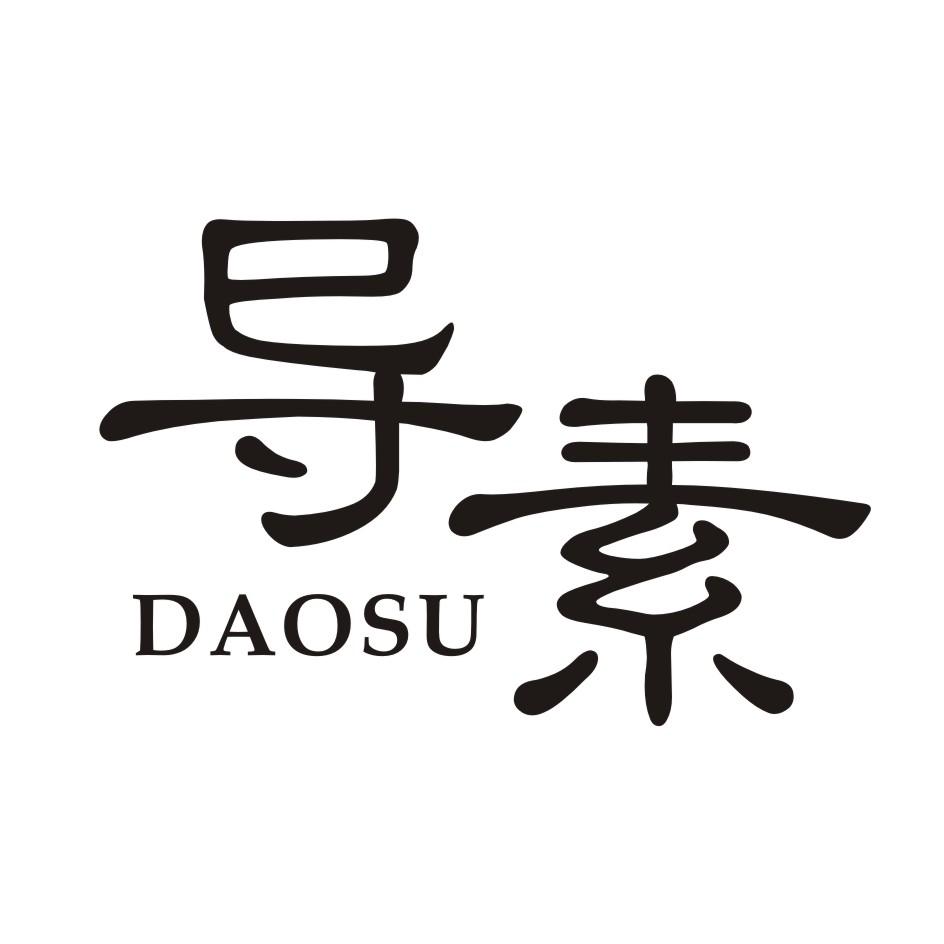 导素       DAOSU