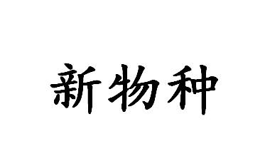 新物种