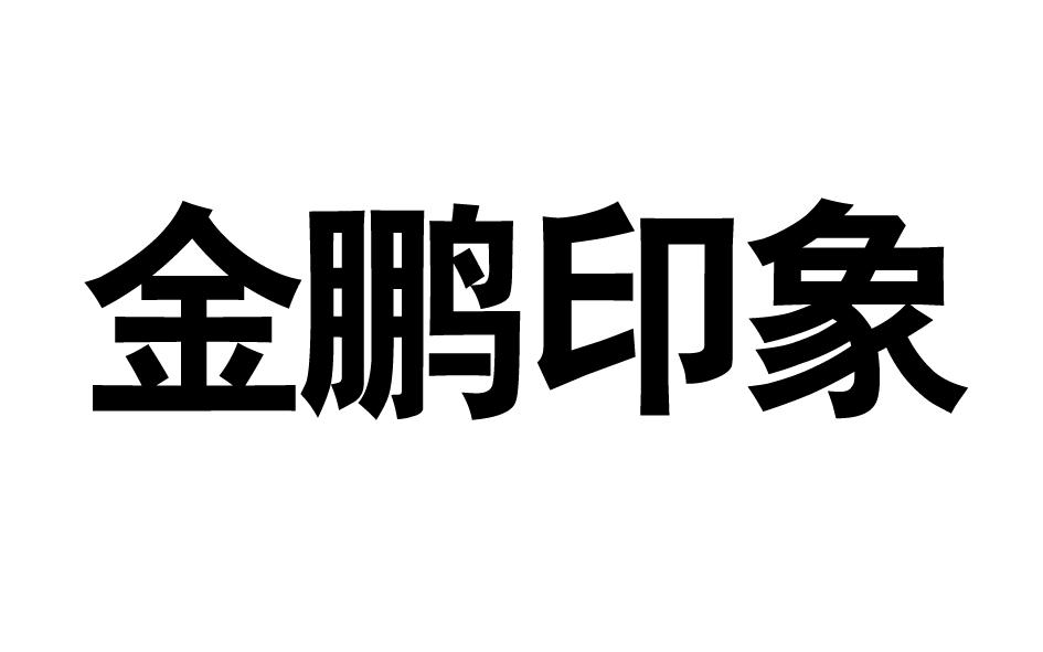 金鹏印象