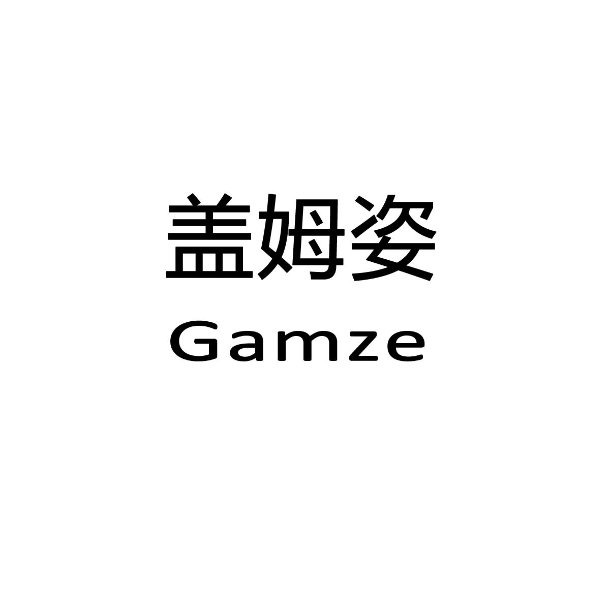 盖姆姿 GAMZE