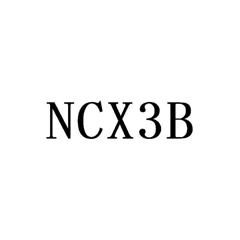 NCX3B