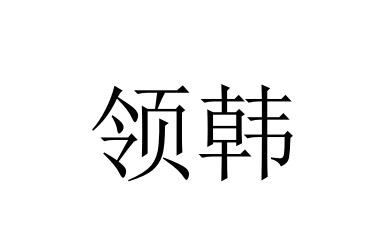 领韩