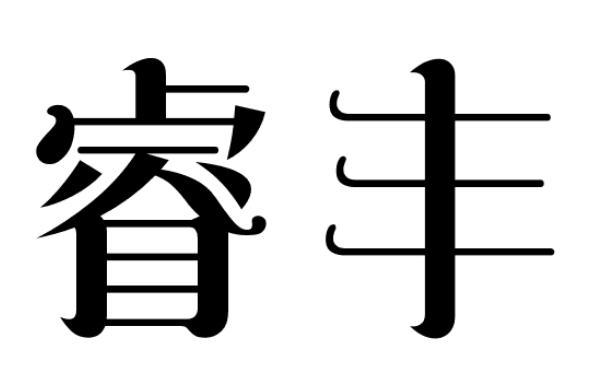 睿丰