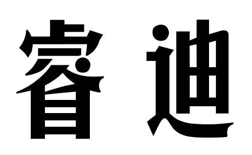 睿迪