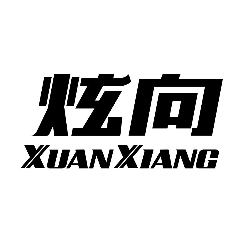 炫向