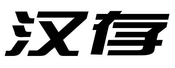 汉存
